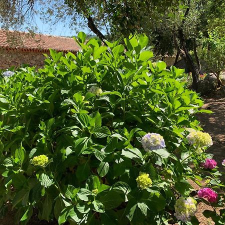 Hotel Valkarana Country Relais (Adults Only) Sant'Antonio di Gallura Exteriör bild