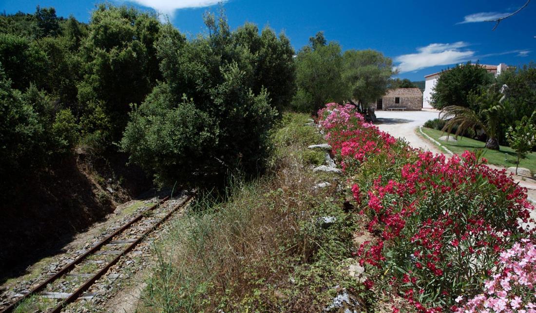 Hotel Valkarana Country Relais (Adults Only) Sant'Antonio di Gallura Exteriör bild