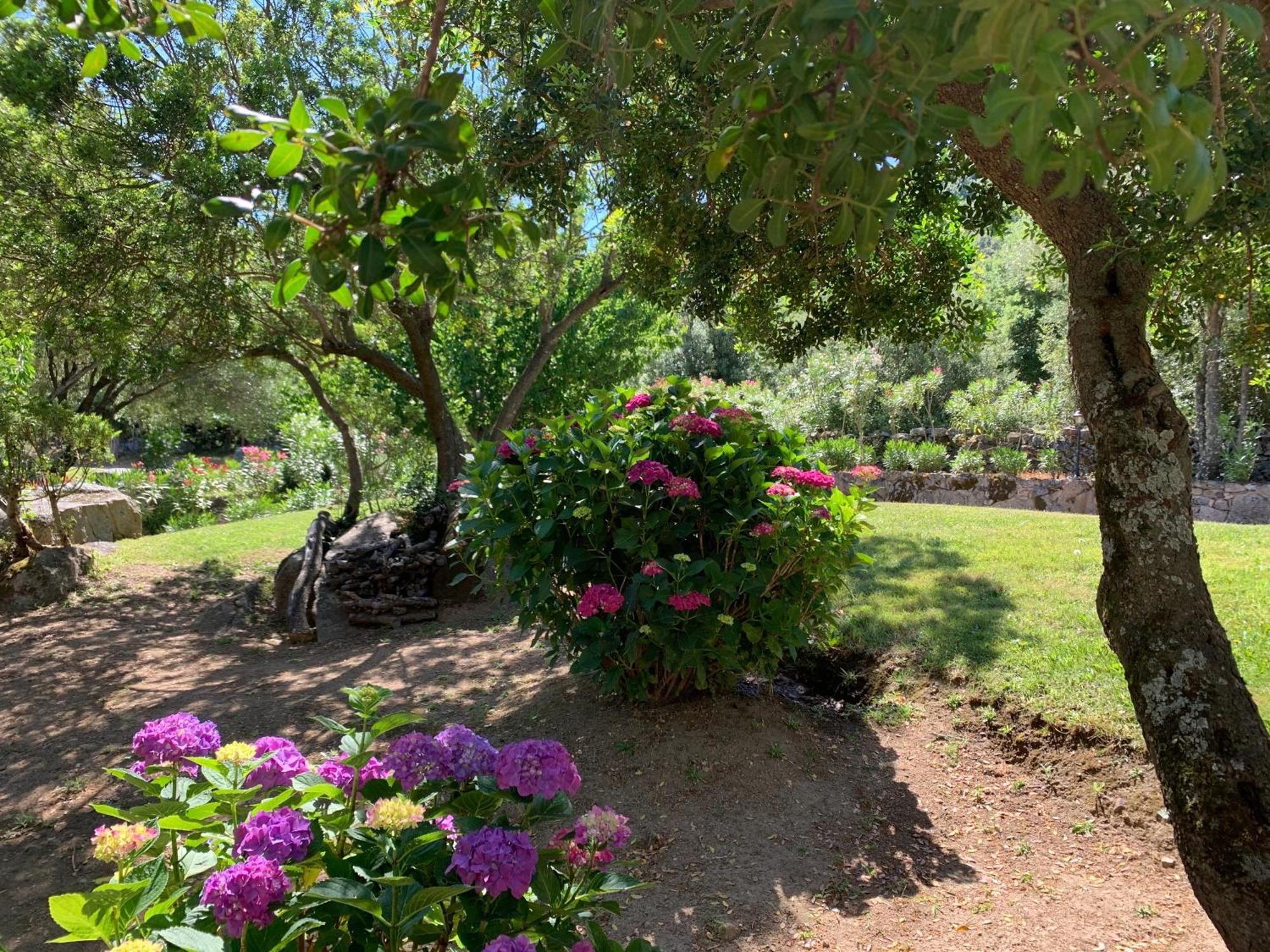 Hotel Valkarana Country Relais (Adults Only) Sant'Antonio di Gallura Exteriör bild