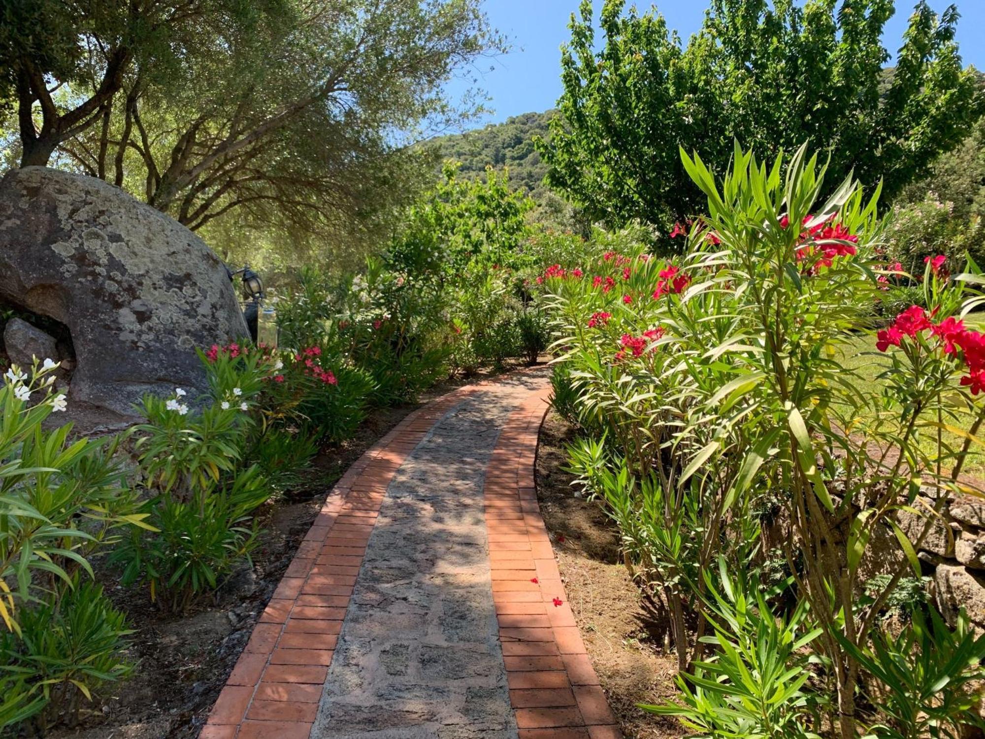 Hotel Valkarana Country Relais (Adults Only) Sant'Antonio di Gallura Exteriör bild